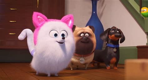 la vida secreta de tus mascotas gato